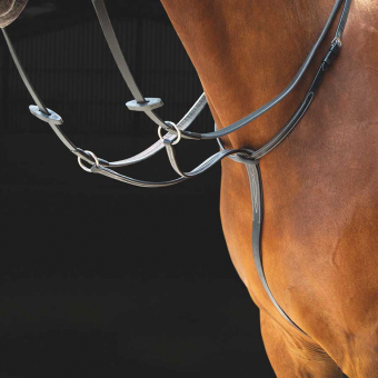 Martingaal Salisbury Zwart