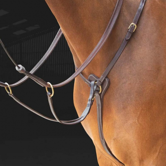 Martingaal Salisbury Bruin