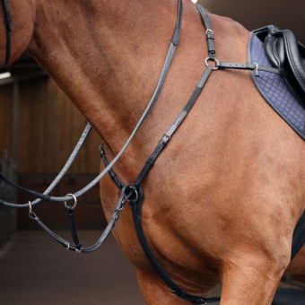 Borsttuig met Martingaal Rapida Zwart