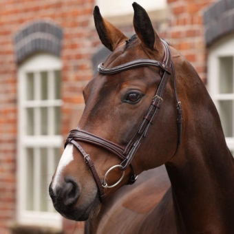 Hoofdstel Gevoerde Neusriem LUSSO Opus 180M Bruin