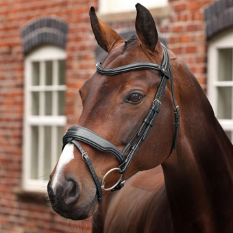 Hoofdstel Brede Neusriem LUSSO Opus 180M Zwart