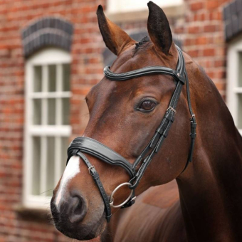 Hoofdstel Brede Neusriem LUSSO Opus 180M Zwart