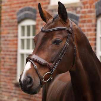Hoofdstel Brede Neusriem LUSSO Opus 180M Bruin