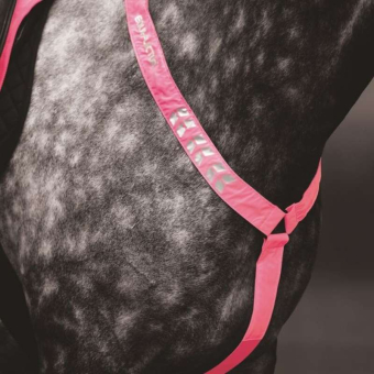 Borsttuig Reflective Roze