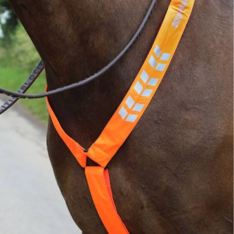 Borsttuig Reflective Oranje