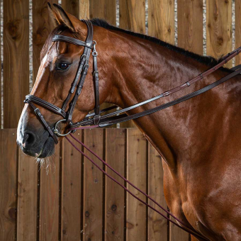 Gummi Teugel Rep/Leder 16mm WC Bruin