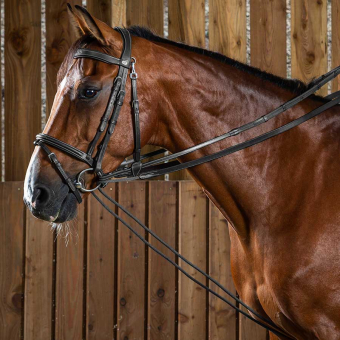 Gummi Teugel Rep/Leder 16mm WC Zwart