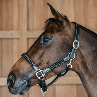Leren halster Plaited WBD Zwart