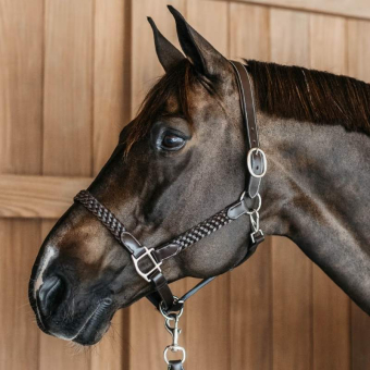 Leren halster Plaited WBD Bruin