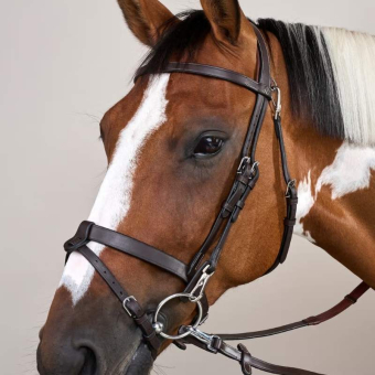 Hoofdstel Gladde Neusriem WC Bruin