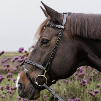 Hoofdstel Plaited Training Working Collection Zwart