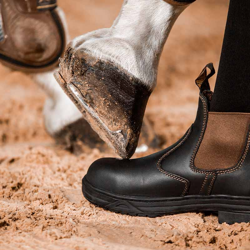 Jodhpurs Protective Stalen Neus Zwart/Bruin