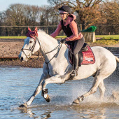Pro Skull II Plus Roségoud Pro Skull II Plus Roségoud