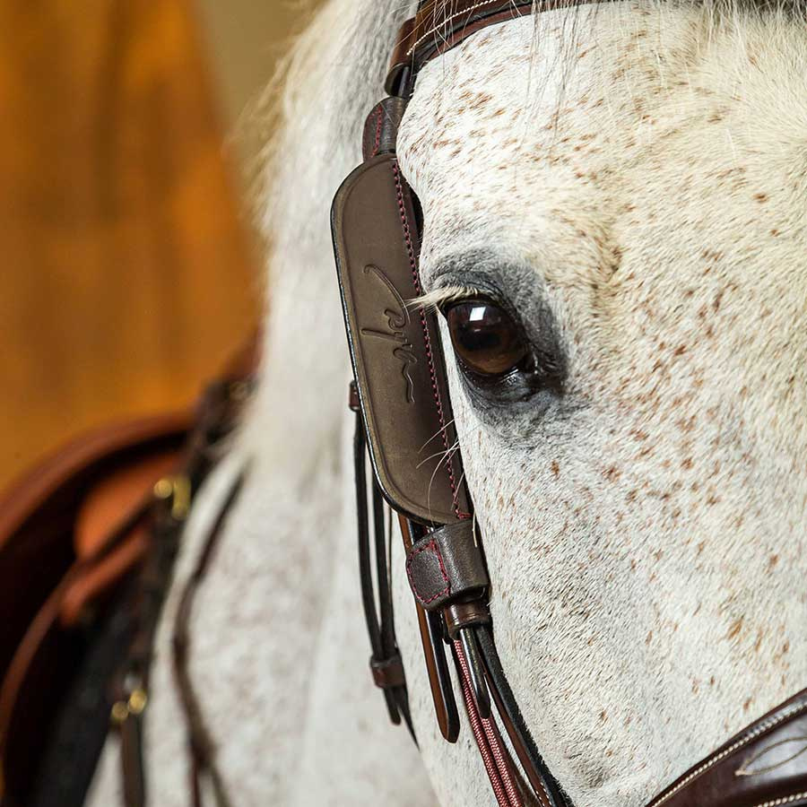 Focus / Knipperlichten 2-pack Bruin