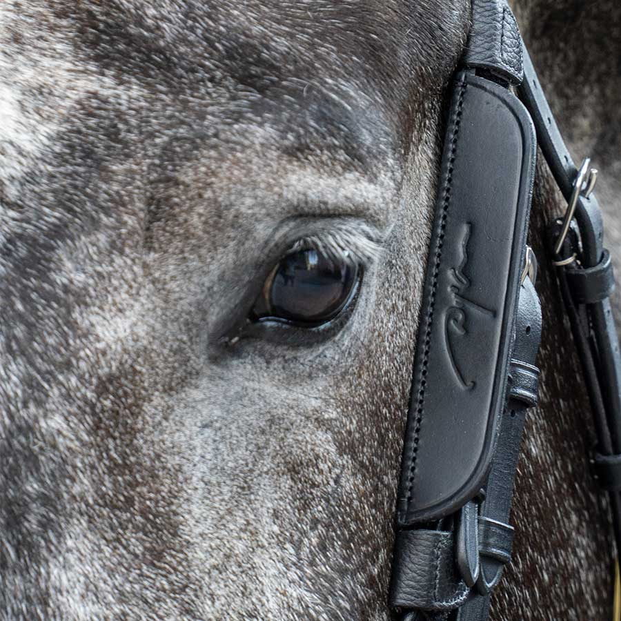 Focus / Knipperlichten 2-pack Zwart