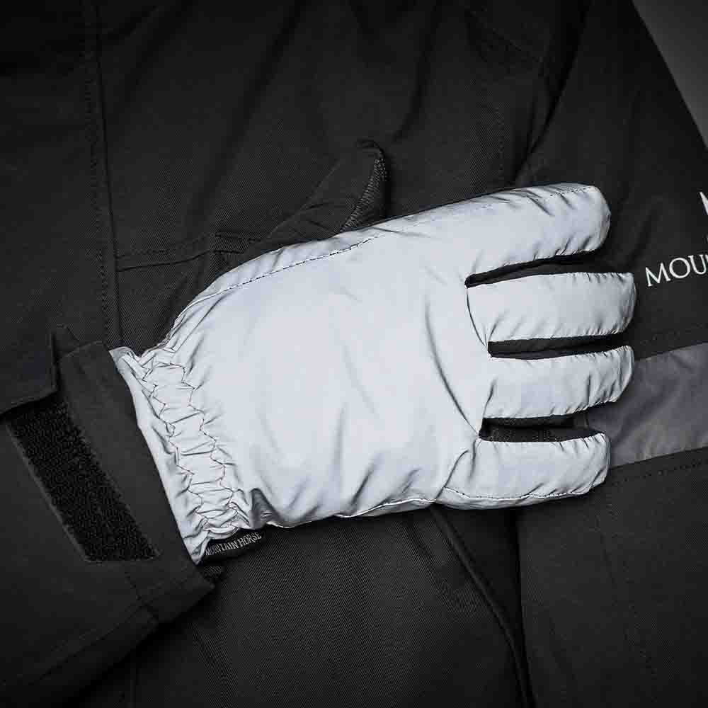 Winterhandschoen Flash Silver