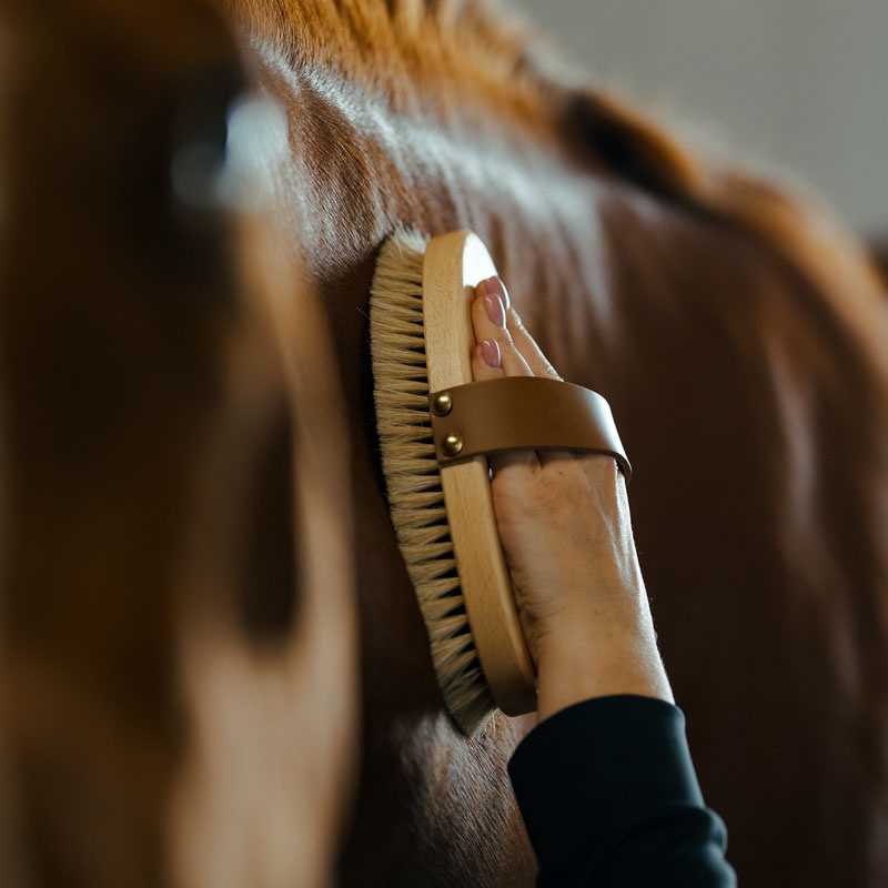 Borstel met leren riem Tagel Bruin