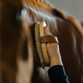 Borstel met leren riem Tagel Bruin Borstel met leren riem Tagel Bruin