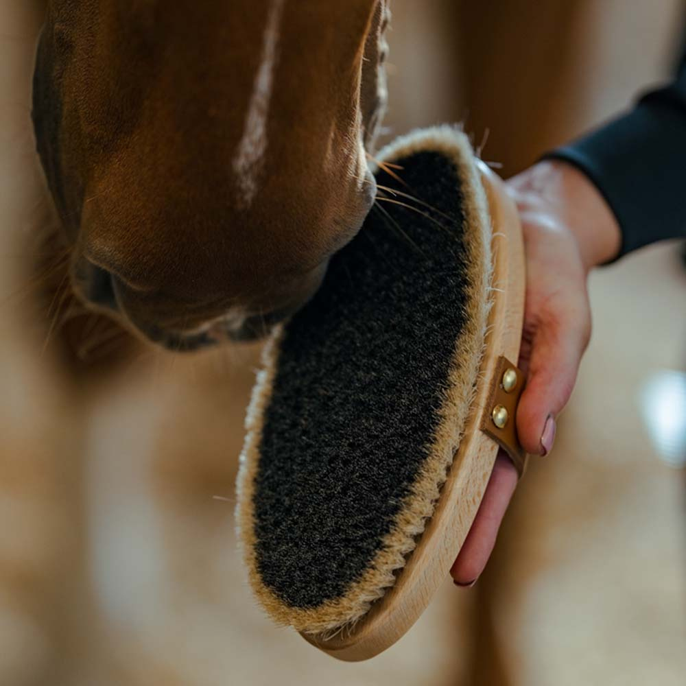 Borstel met leren riem Tagel Bruin