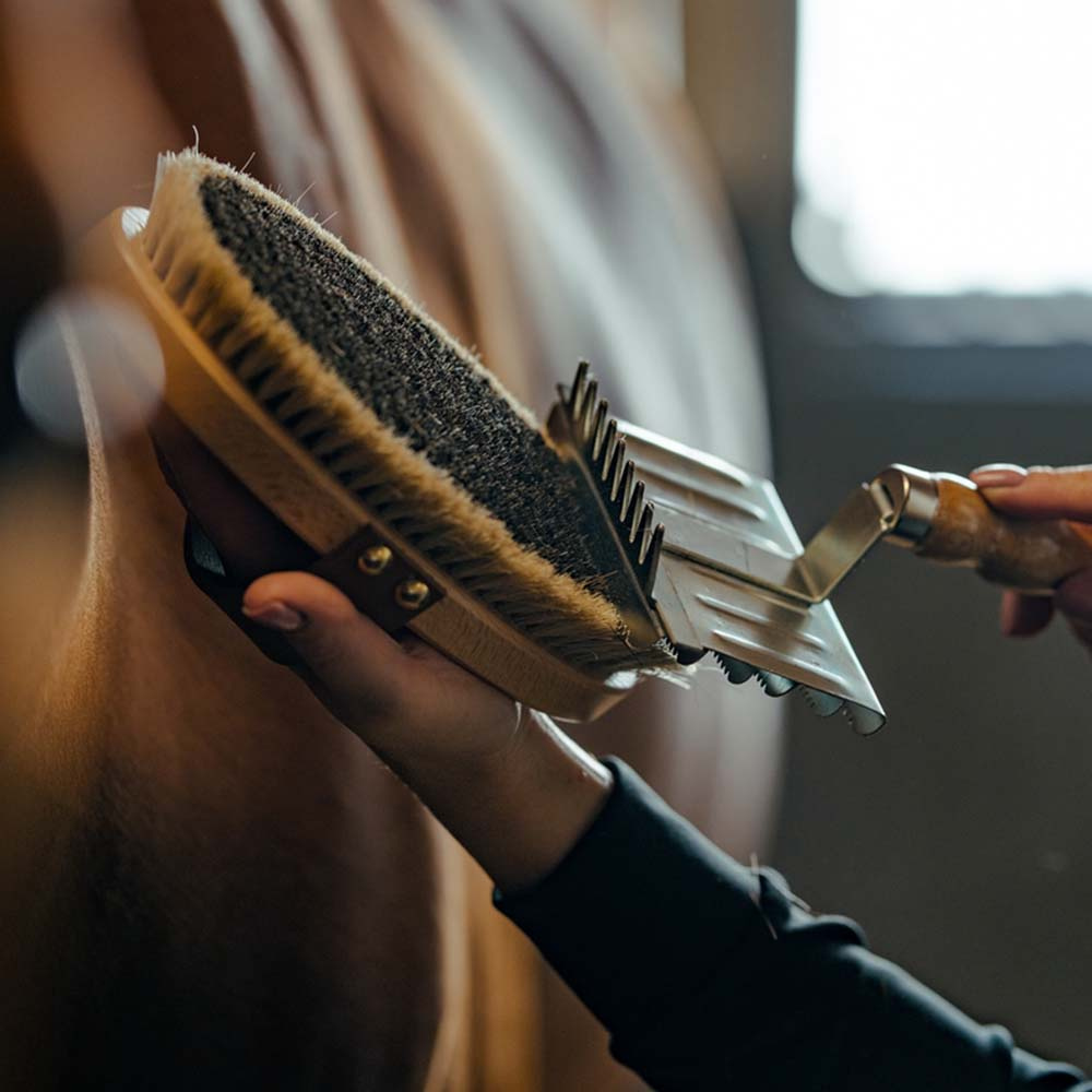 Borstel met leren riem Tagel Bruin