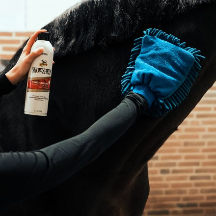 Glansspray Finishing Mist 444 ml