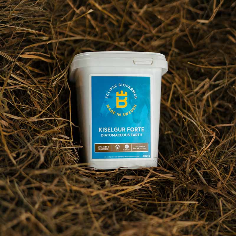 Kiezelgoer Forte 0.5kg