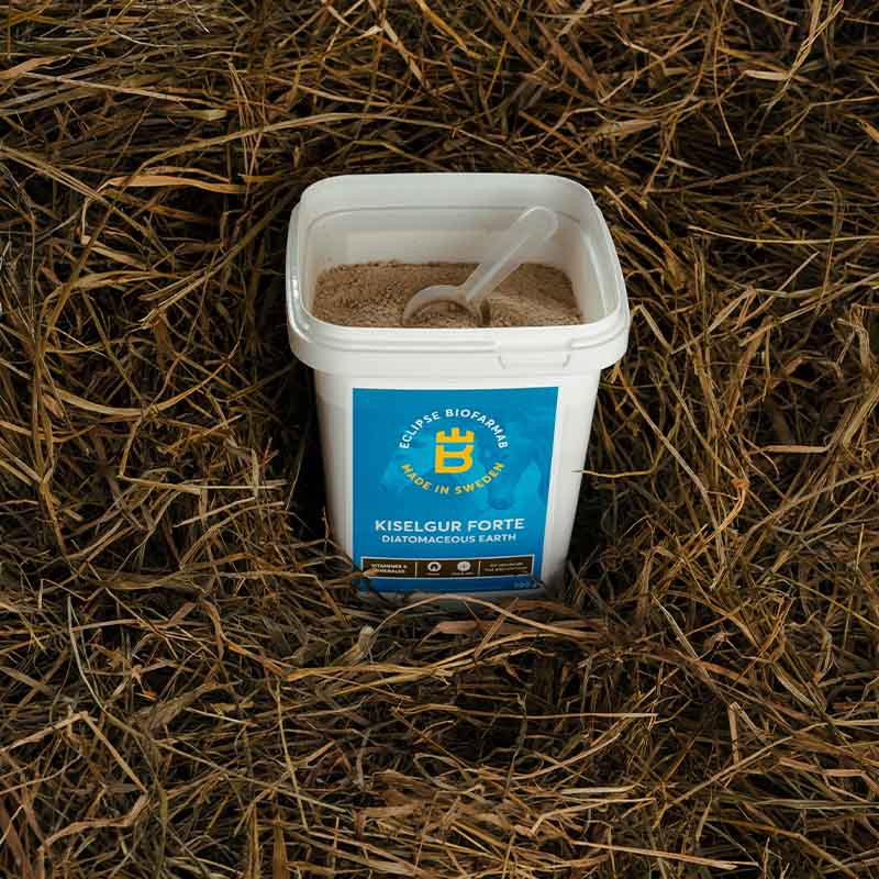 Kiezelgoer Forte 0.5kg