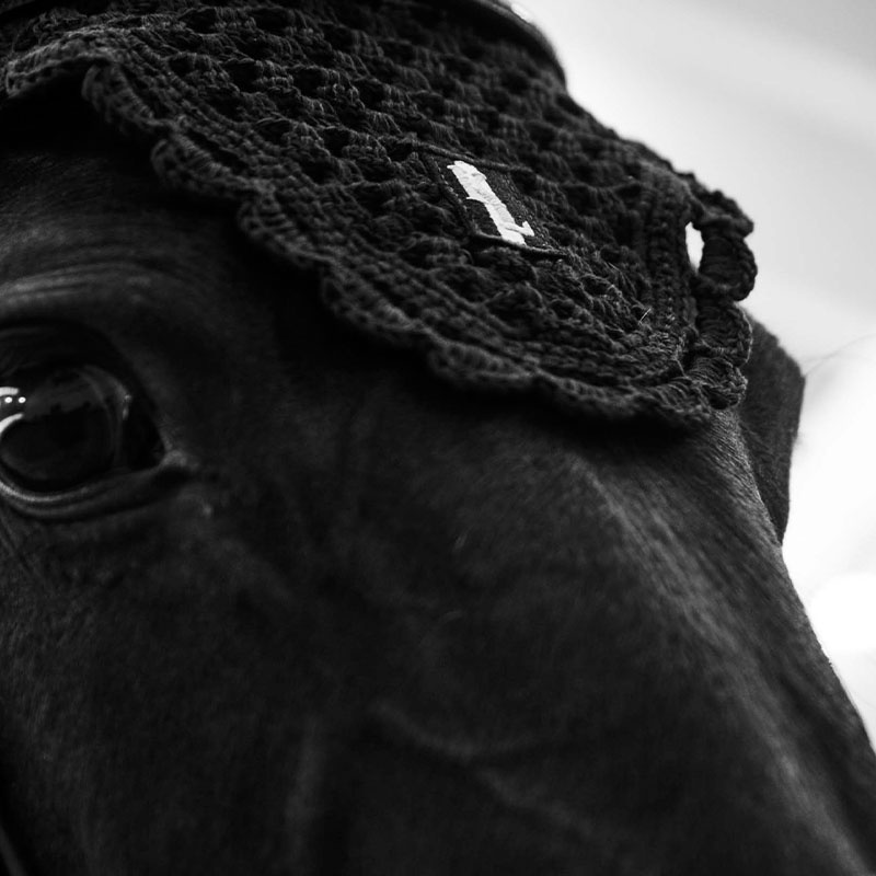 Oornetjes Classic Zwart