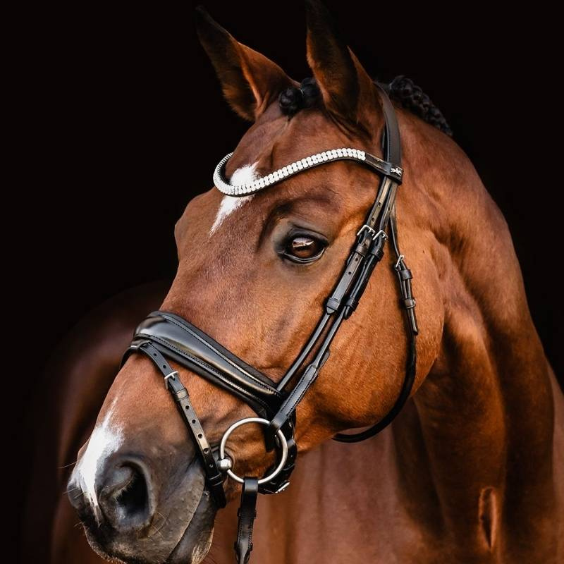 Dressuurhoofdstel Isabell Werth Johnny Zwart