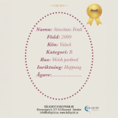 Stokpaard Fendi Stokpaard Fendi