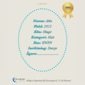 Stokpaard Abbe Stokpaard Abbe