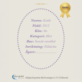 Stokpaard Estelle Stokpaard Estelle