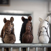 Stokpaard Skylar Stokpaard Skylar