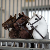 Stokpaard Skylar Stokpaard Skylar