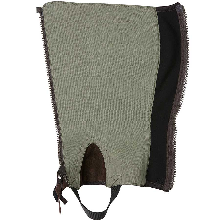 Shortchaps Concorde Bruin