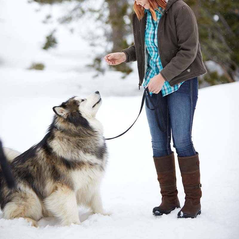 Laarzen Langdale H2O Bruin