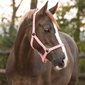 Halster Slide Lichtroze Halster Slide Lichtroze