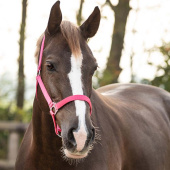 Halster Slide Fuchsia Halster Slide Fuchsia