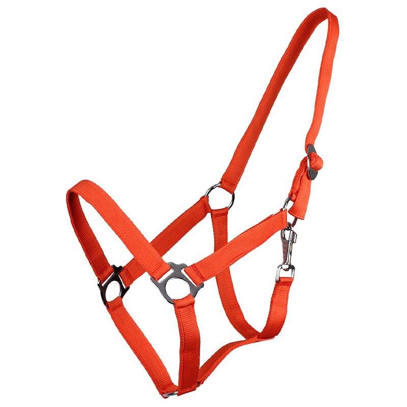 Halster Slide Oranje