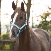 Halster Slide Lichtblauw Halster Slide Lichtblauw