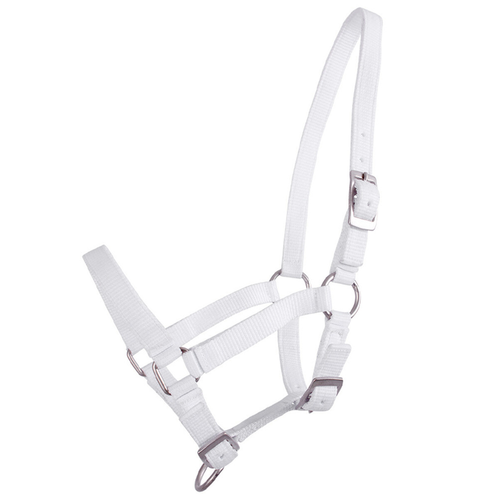 Veulenhalster Adjustable Wit
