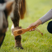 Borstel Islänningen Bassine Bruin Borstel Islänningen Bassine Bruin