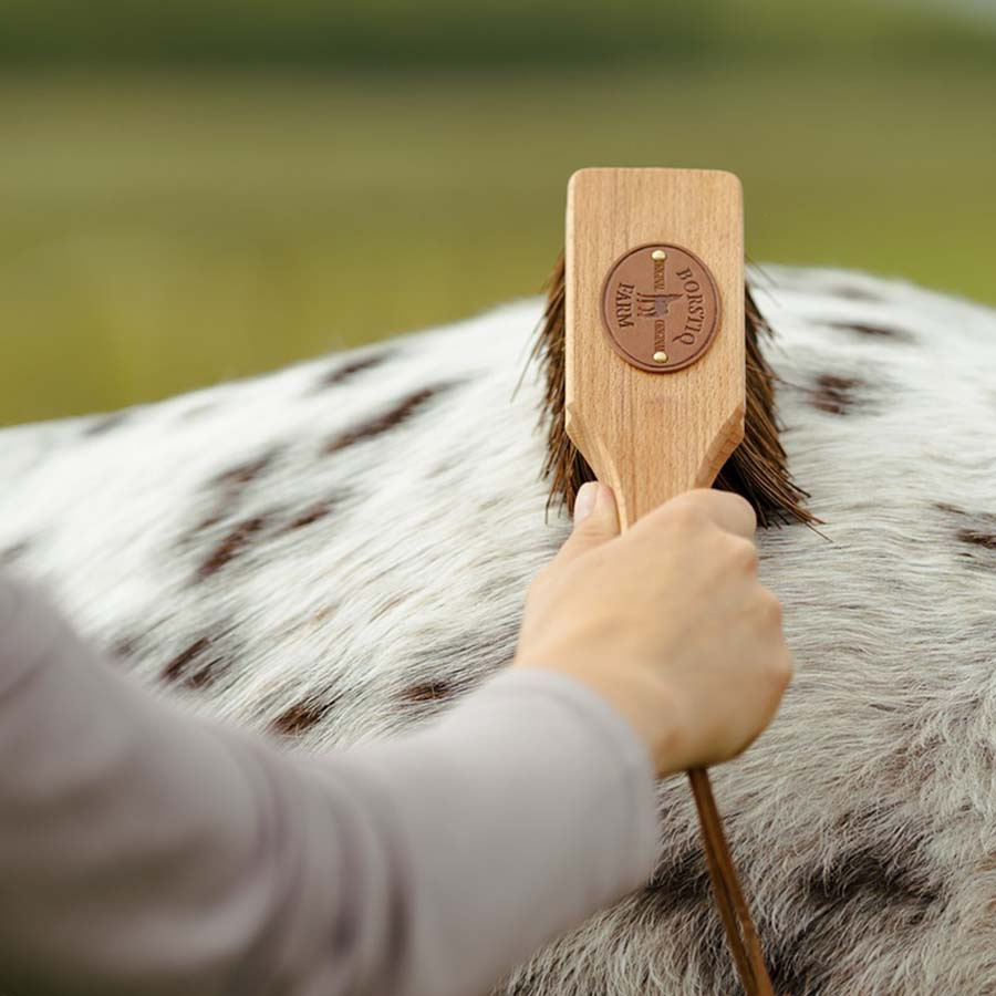 Borstel Islänningen Bassine Bruin