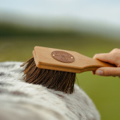 Borstel Islänningen Bassine Bruin Borstel Islänningen Bassine Bruin