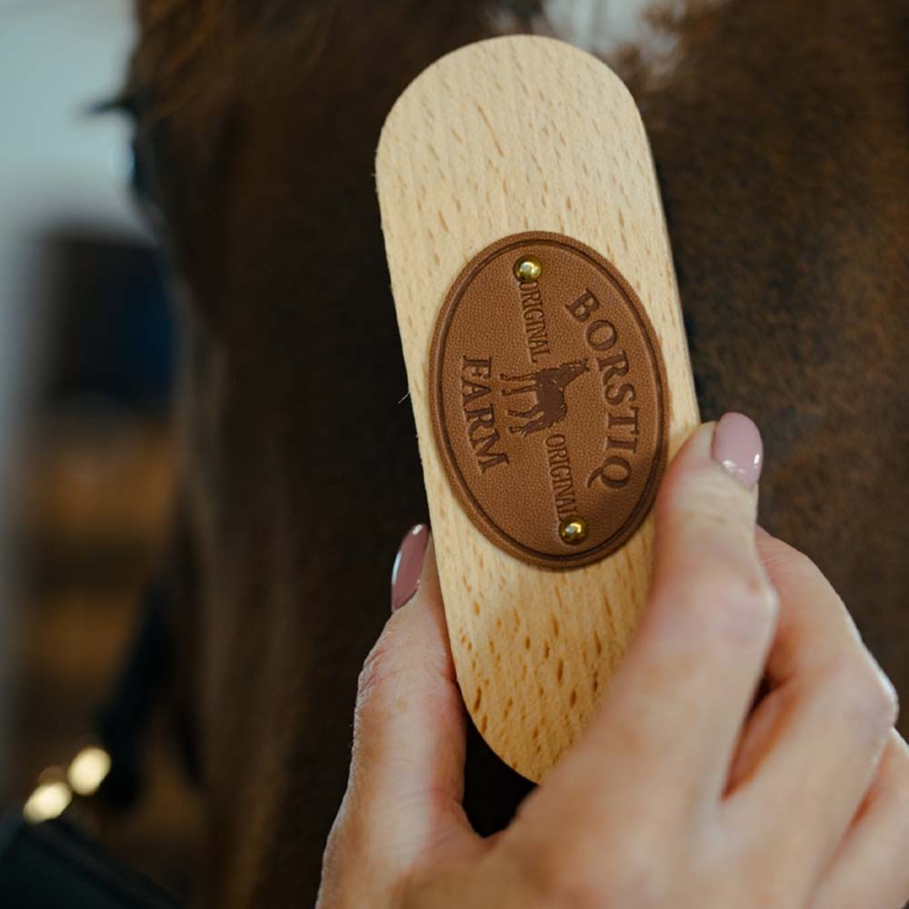 Ponyborstel PP-borst Bruin