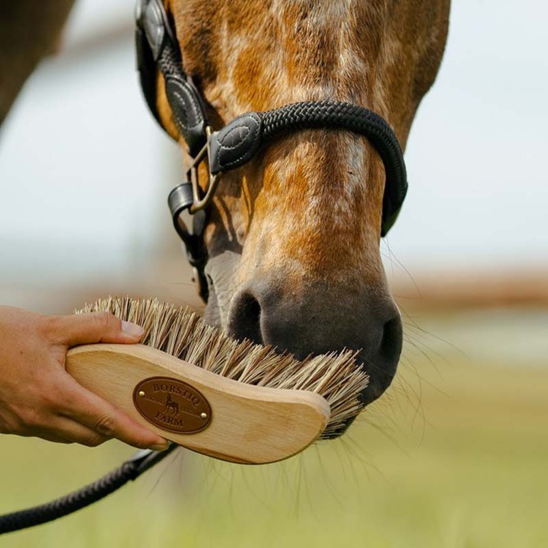 Borstel S-Panel Unionmix Bruin Medium