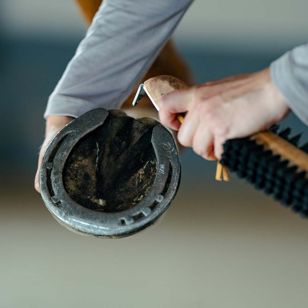 Hoefborstel met Hoefkrabber Dubbelsidig Bruin