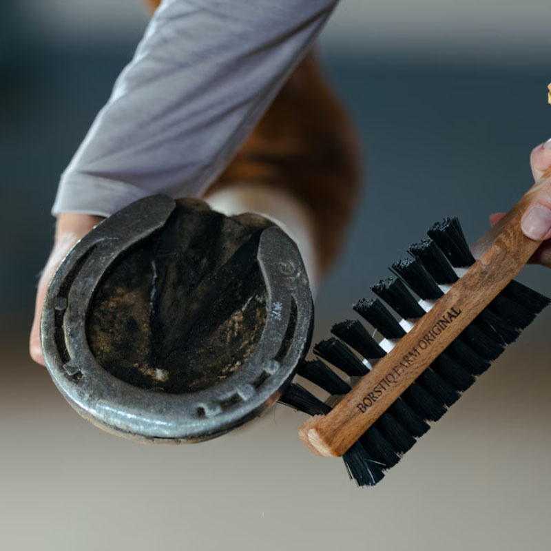Hoefborstel met Hoefkrabber Dubbelsidig Bruin