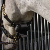 Veulenwacht Birth Alarm Premium Veulenwacht Birth Alarm Premium