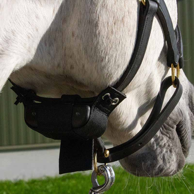 Veulenwacht Birth Alarm Lite 2.0